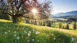  Wir wünschen Ihnen erholsame Sommertage!